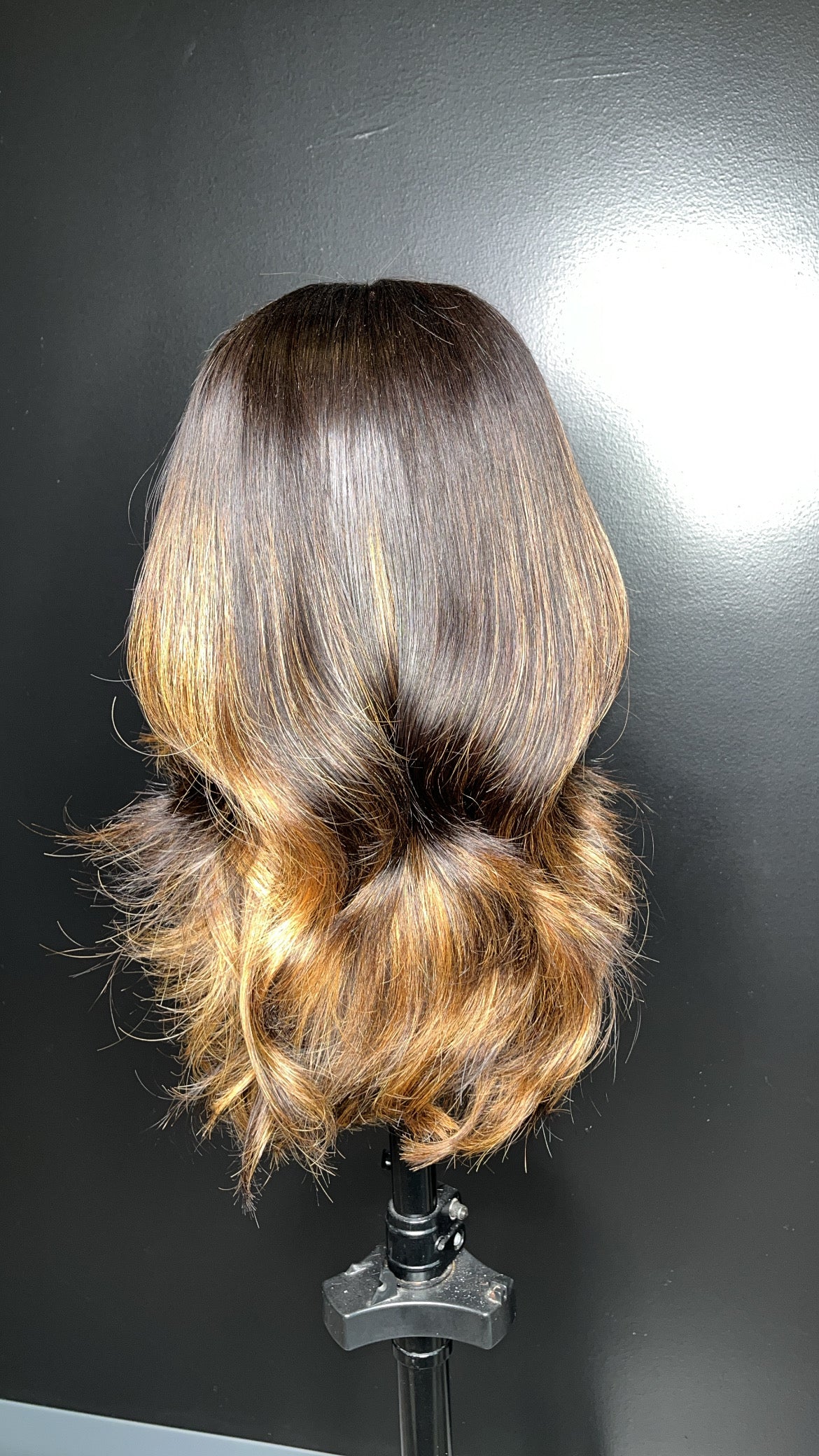 HD 5*5 Closure Wig with Highlights